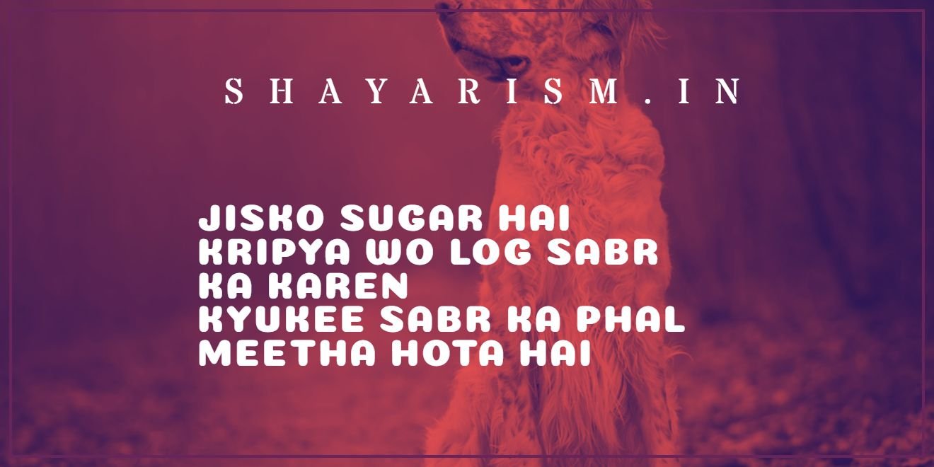 Funny Shayari ! Comedy Shayari in Hindi 2022 | Funny Shayari in Hindi -  हिंदी शायरी